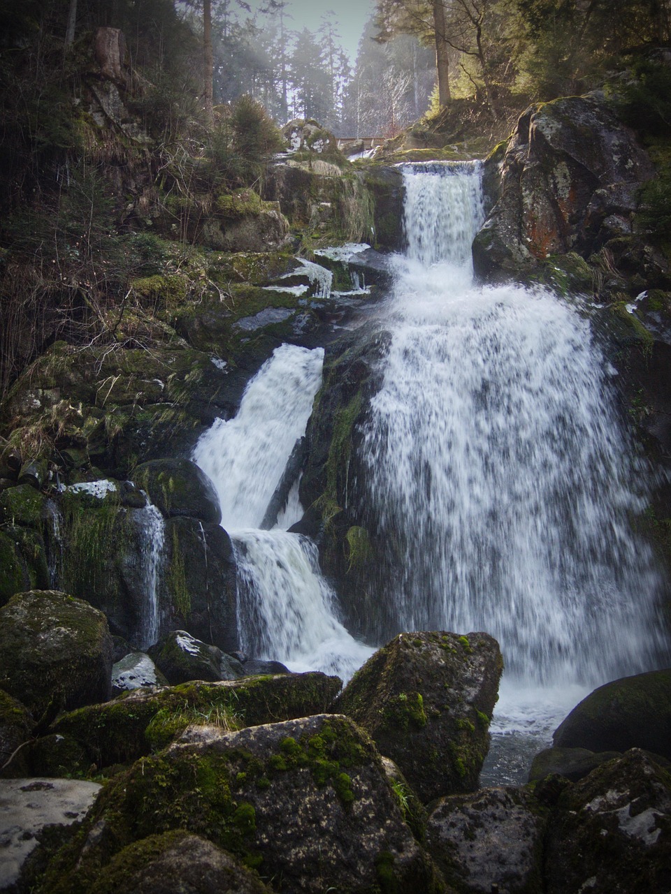 triberg, waterfall, black forest, torrent, rush, moss, flow, force of nature, cascade, landscape, water falls, nature, germany, waterfall, waterfall, waterfall, waterfall, waterfall, water falls